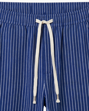 VIENA STRIPE LINEN TROUSERS - BLUE